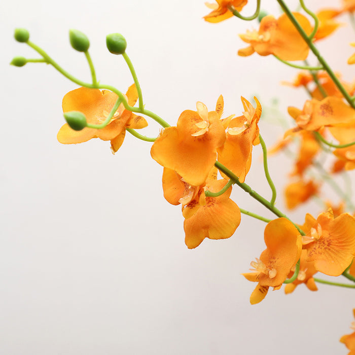 Flores de tallo largo de orquídeas bailarinas de 31 "a granel al por mayor