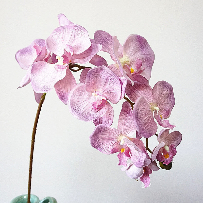 Orchidées Phalaenopsis en vrac de 37 pouces à longue tige, fleurs d'automne vintage pour centres de table, artisanat de mariage, vente en gros 