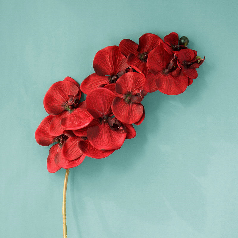 Orchidées Phalaenopsis en vrac de 37 pouces à longue tige, fleurs d'automne vintage pour centres de table, artisanat de mariage, vente en gros 