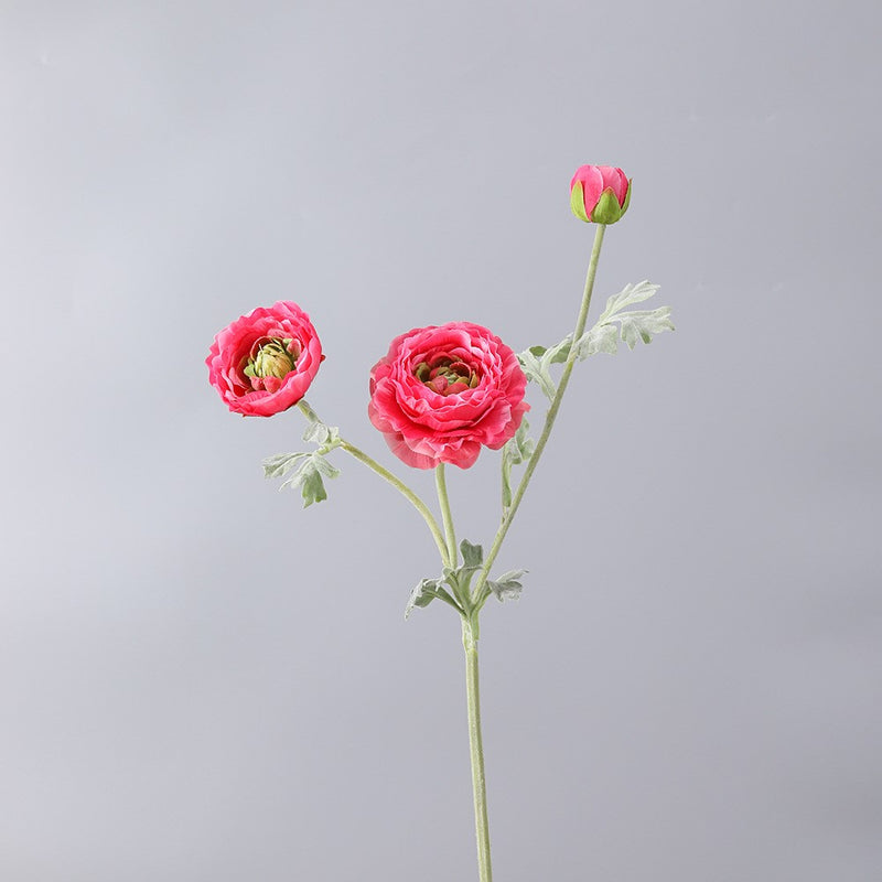 Venta al por mayor de ranúnculo persa artificial Ranunculus Stem 25 pulgadas 