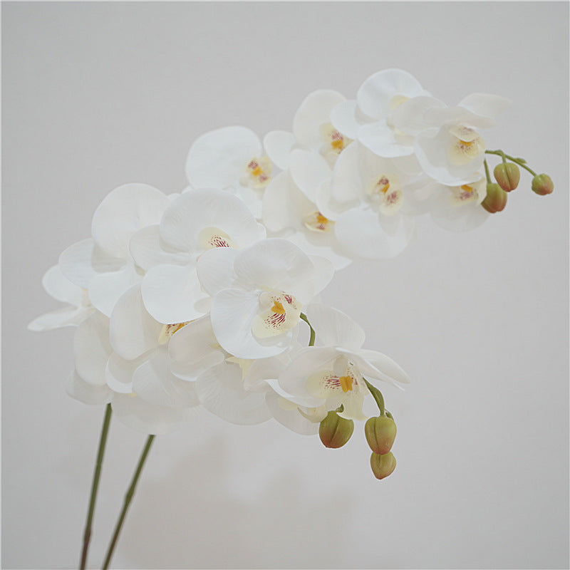 Bulk 38" Artificial Phalaenopsis Long Stems Real Touch Flowers for Table Centerpieces Arrangements Wholesale