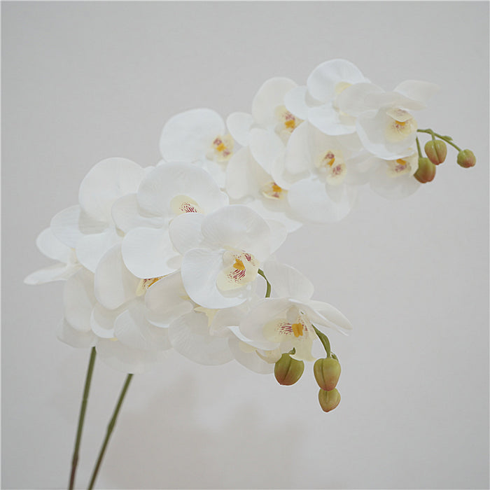 Bulk 38" Artificial Phalaenopsis Long Stems Real Touch Flowers for Table Centerpieces Arrangements Wholesale