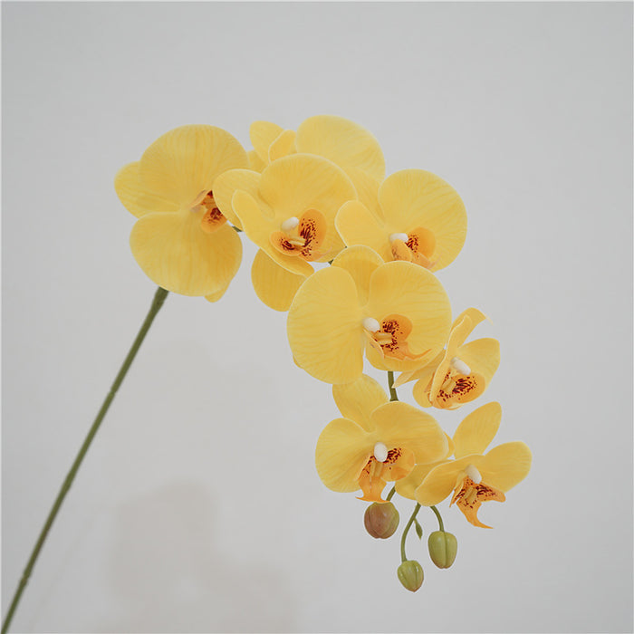 Comercio al por mayor 38 Pulgadas Phalaenopsis Artificial Real Touch Flores Tallo Largo