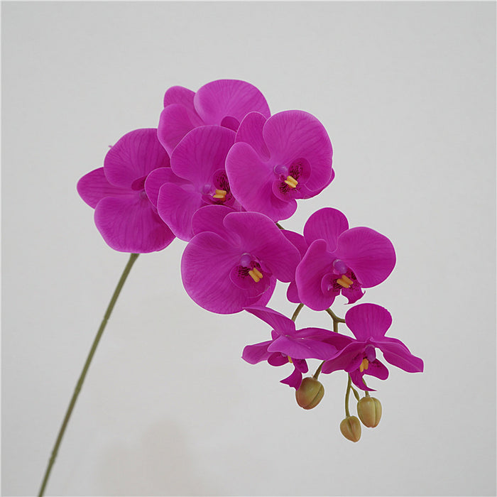 Comercio al por mayor 38 Pulgadas Phalaenopsis Artificial Real Touch Flores Tallo Largo