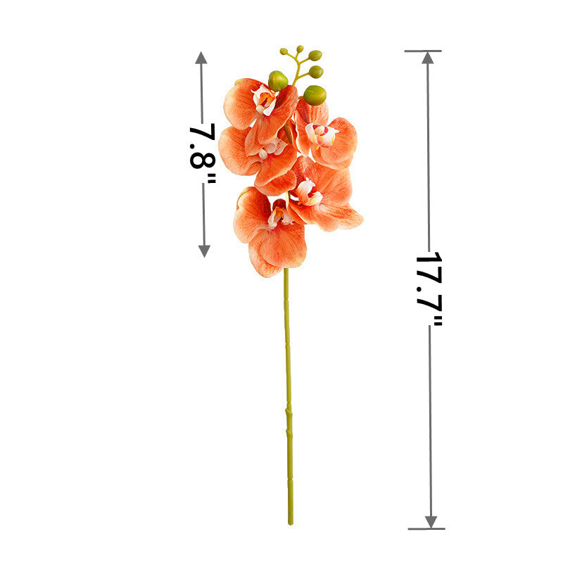 Liquidation en vrac 17" Tige de Phalaenopsis Toucher réel Fleurs artificielles En gros