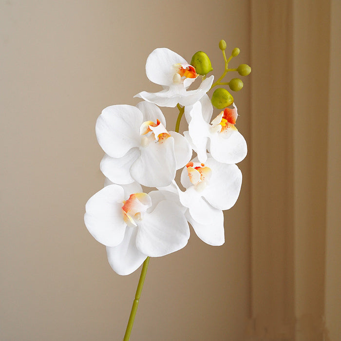 Venta al por mayor de flores artificiales de tacto Real de tallo de Phalaenopsis de 17 "a granel