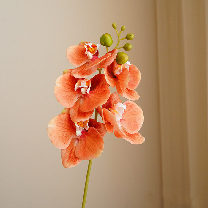 Venta al por mayor de flores artificiales de tacto Real de tallo de Phalaenopsis de 17 "a granel
