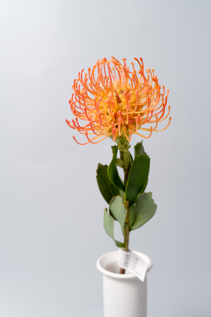 Bulk AM Basics Artificial Pincushion Flower 21 Inch Wholesale