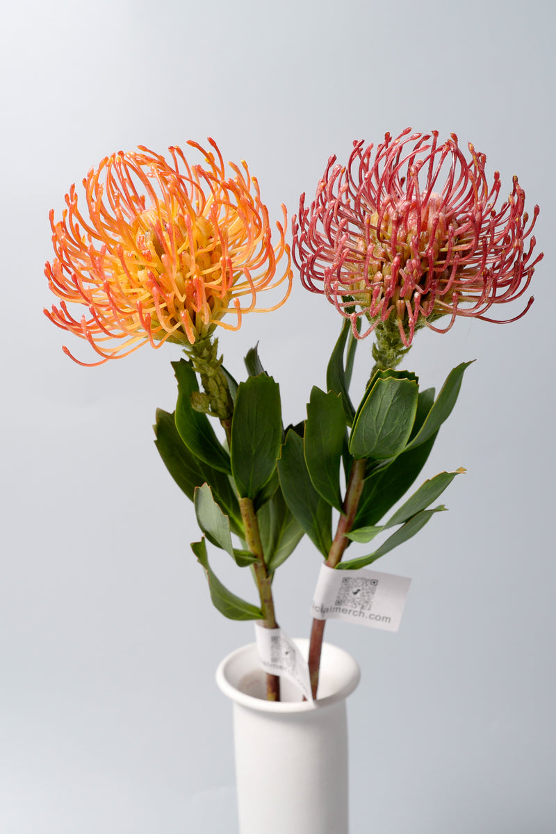 Bulk AM Basics Artificial Pincushion Flower 21 Inch Wholesale