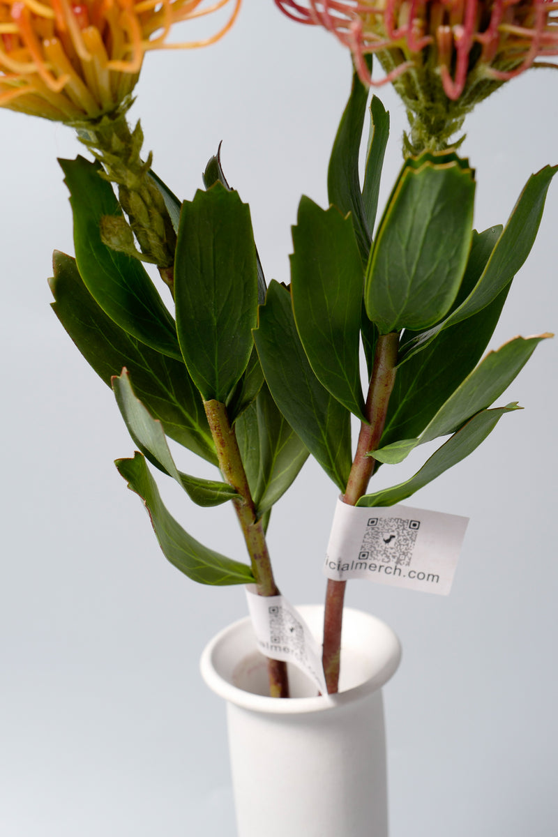 Bulk AM Basics Artificial Pincushion Flower 21 Inch Wholesale