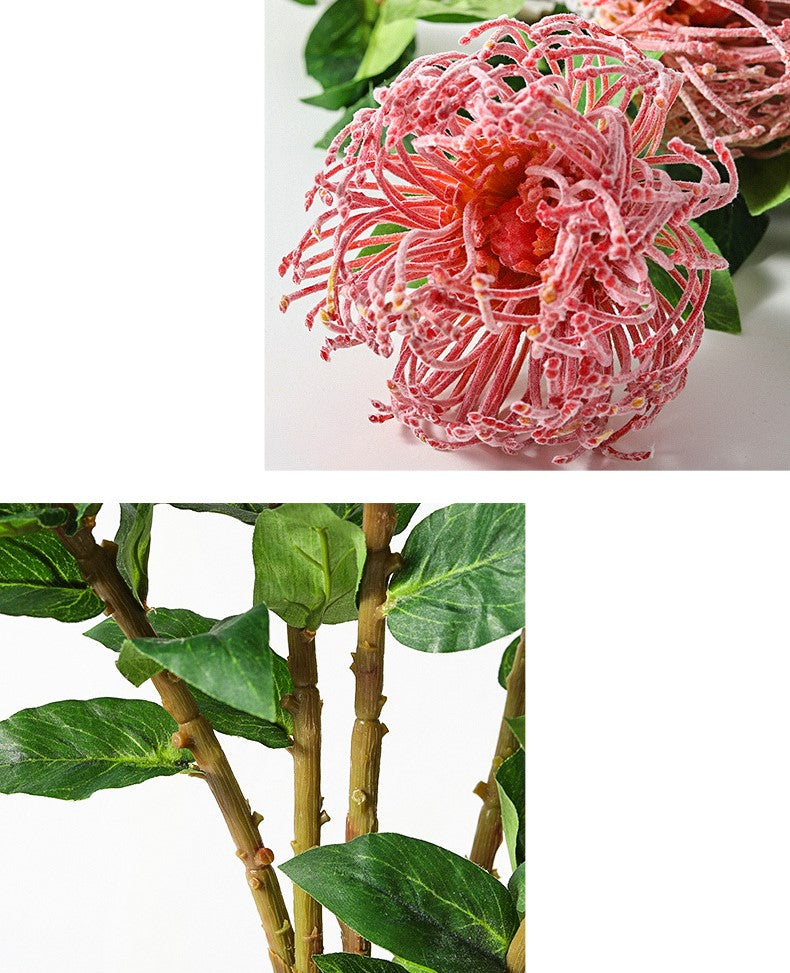 Tiges de Leucospermum Cordifolium en vrac de 30 pouces Fleurs de Protea en coussinet en gros 