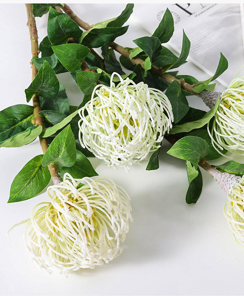 Tiges de Leucospermum Cordifolium en vrac de 30 pouces Fleurs de Protea en coussinet en gros 