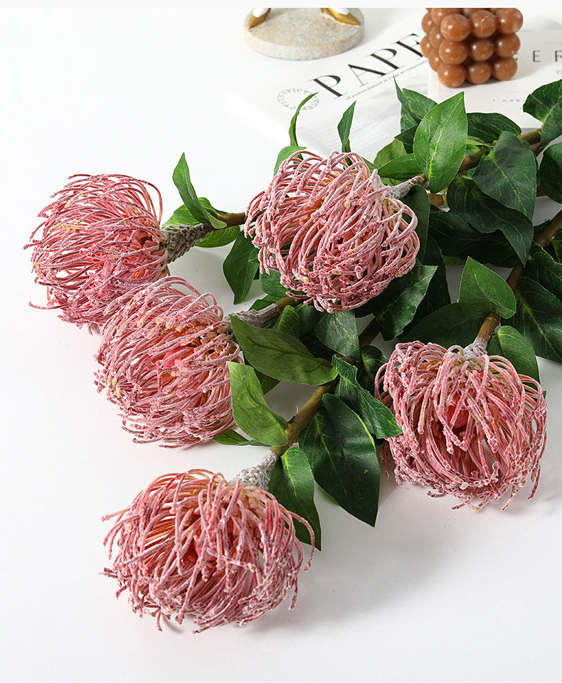 Tiges de Leucospermum Cordifolium en vrac de 30 pouces Fleurs de Protea en coussinet en gros 
