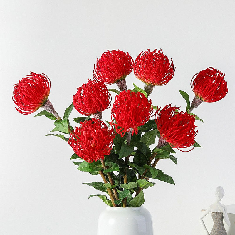 Tiges de Leucospermum Cordifolium en vrac de 30 pouces Fleurs de Protea en coussinet en gros 