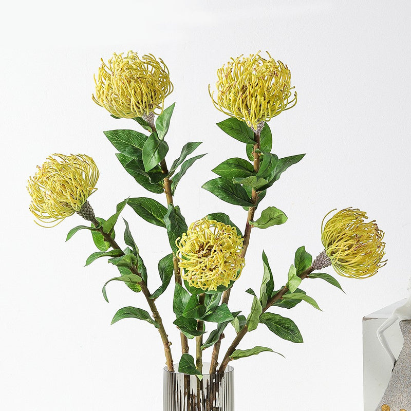 Tiges de Leucospermum Cordifolium en vrac de 30 pouces Fleurs de Protea en coussinet en gros 