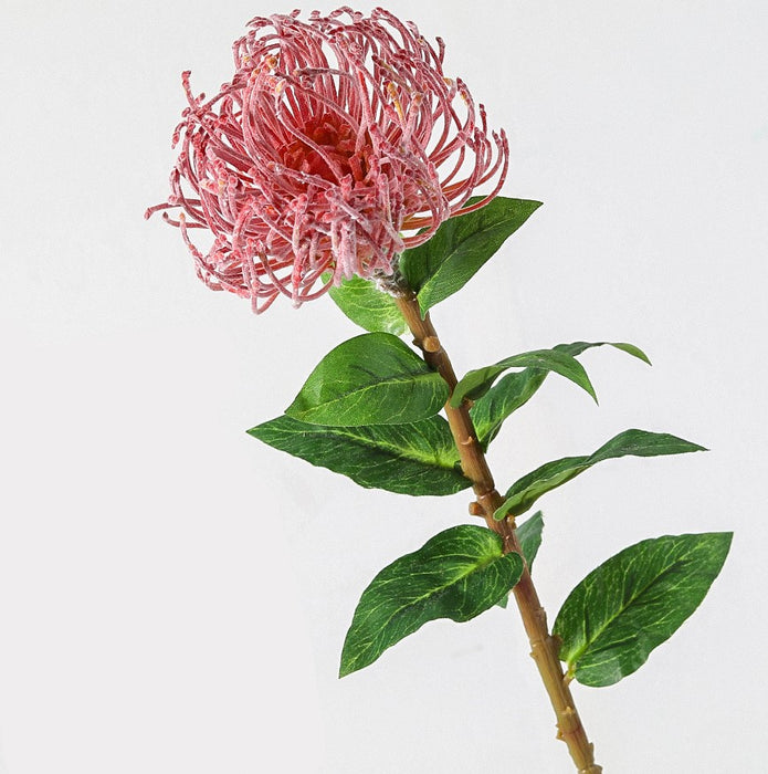 Alfiletero artificial a granel Protea flor follaje Leucospermum tallo flores nativas australianas 30 pulgadas al por mayor 