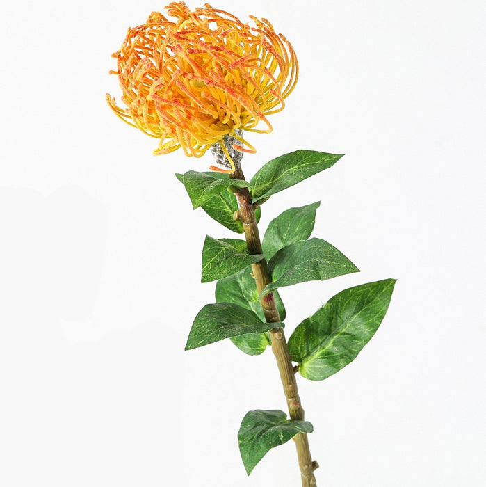 Bulk Artificial Pincushion Protea Flower Foliage Leucospermum Stem Australian Native Flowers 30 Inch Wholesale