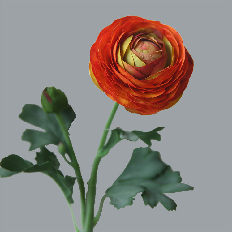 Fleurs de renoncule en vrac de 19 pouces avec tige au toucher réel Fleurs artificielles en soie de bouton d'or persan en gros 