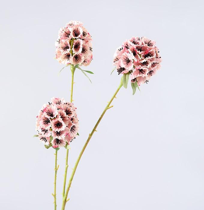 Bulk Artificial Scabiosa Pods Filler Flower Scabiosa Stella Stem 28 Inch Wholesale