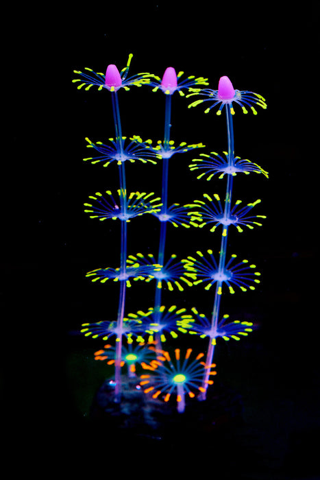 Bulk Aquarium Sea Plants Ornament Glow Plants for Fish Tank Wholesale