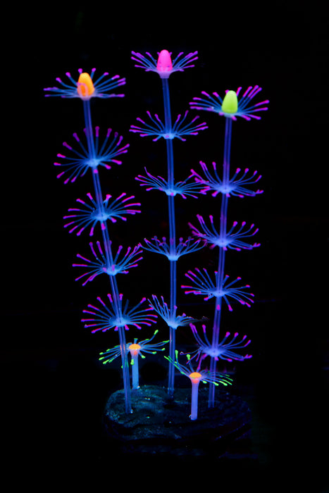Bulk Aquarium Sea Plants Ornament Glow Plants for Fish Tank Wholesale