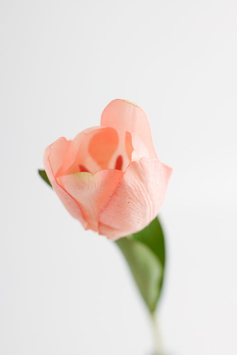 Venta al por mayor de flores artificiales de tallos de tulipán Real Touch de 14 "a granel