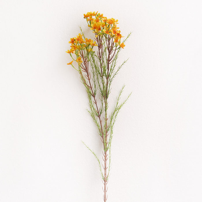 Bulk 31" Wax Flower Stem Chamelaucium Uncinatum Artificial Flowers Wholesale