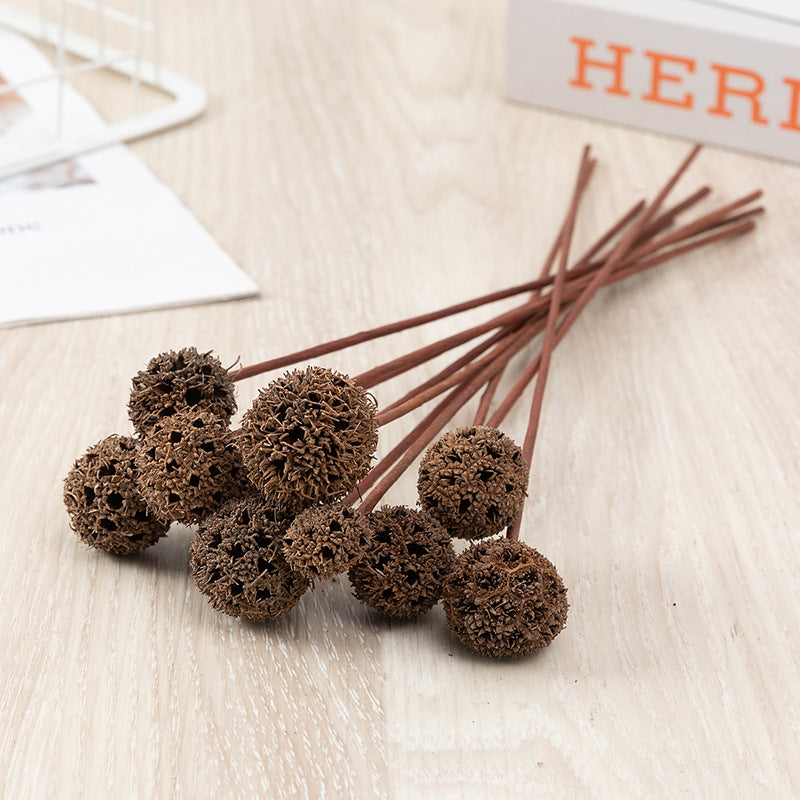 Bulk Preserved Pristimera Flower Balls Scabiosa Pods Windmill Fruit Flower Pods Wholesale