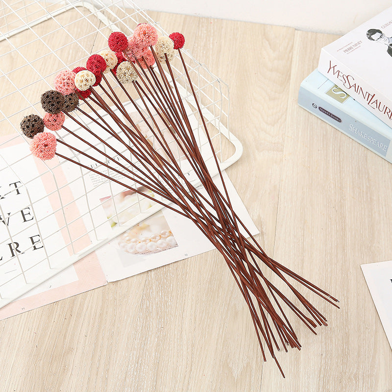 Bulk Preserved Pristimera Flower Balls Scabiosa Pods Windmill Fruit Flower Pods Wholesale