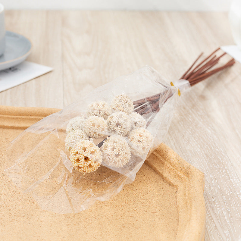 Bulk Preserved Pristimera Flower Balls Scabiosa Pods Windmill Fruit Flower Pods Wholesale