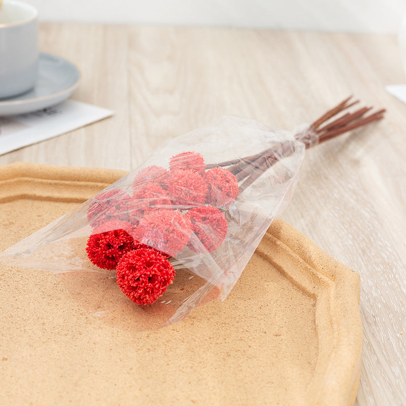 Bulk Preserved Pristimera Flower Balls Scabiosa Pods Windmill Fruit Flower Pods Wholesale