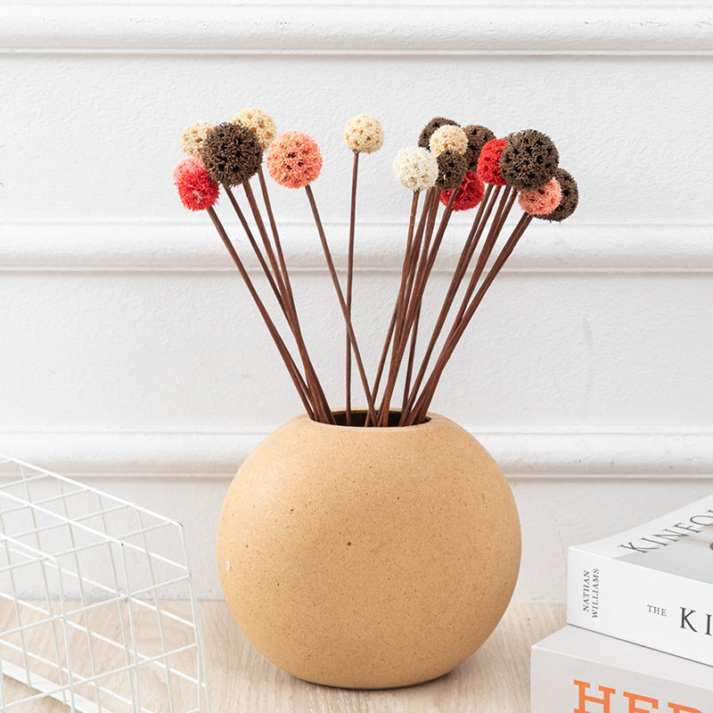 Bulk Preserved Pristimera Flower Balls Scabiosa Pods Windmill Fruit Flower Pods Wholesale