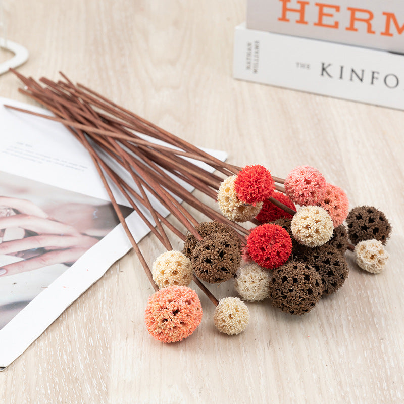 Bulk Preserved Pristimera Flower Balls Scabiosa Pods Windmill Fruit Flower Pods Wholesale