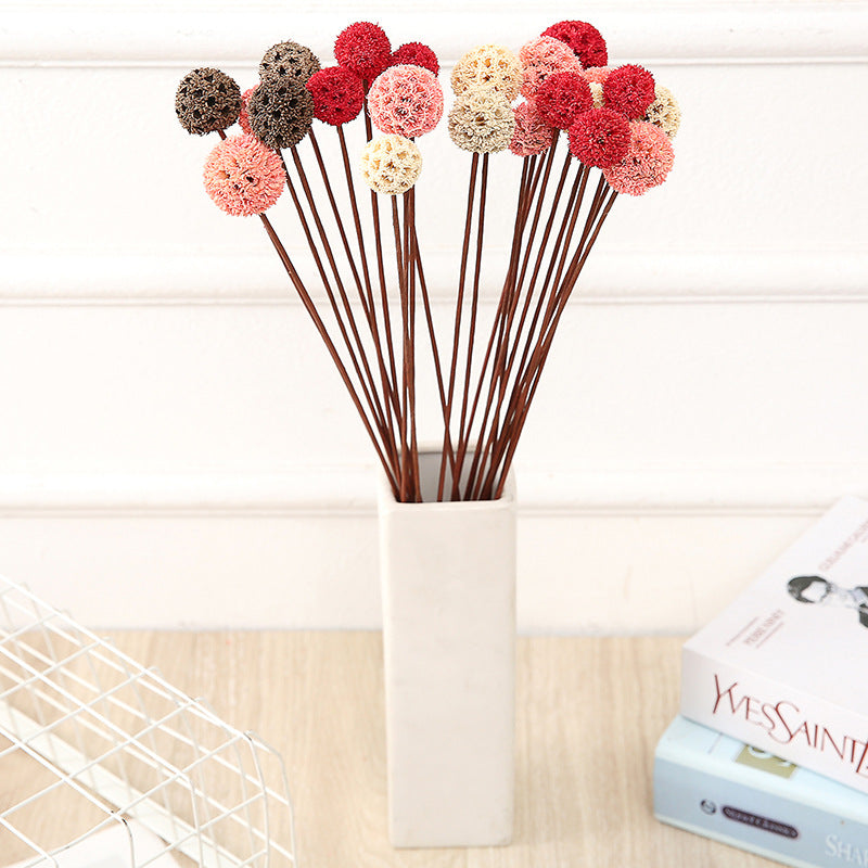 Bulk Preserved Pristimera Flower Balls Scabiosa Pods Windmill Fruit Flower Pods Wholesale