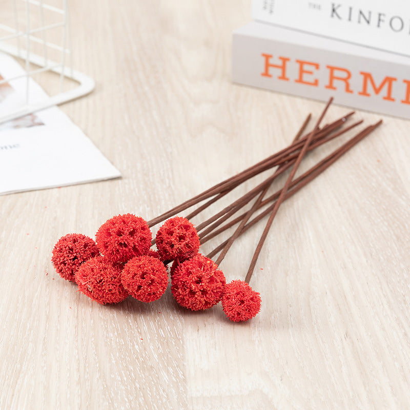 Bulk Preserved Pristimera Flower Balls Scabiosa Pods Windmill Fruit Flower Pods Wholesale