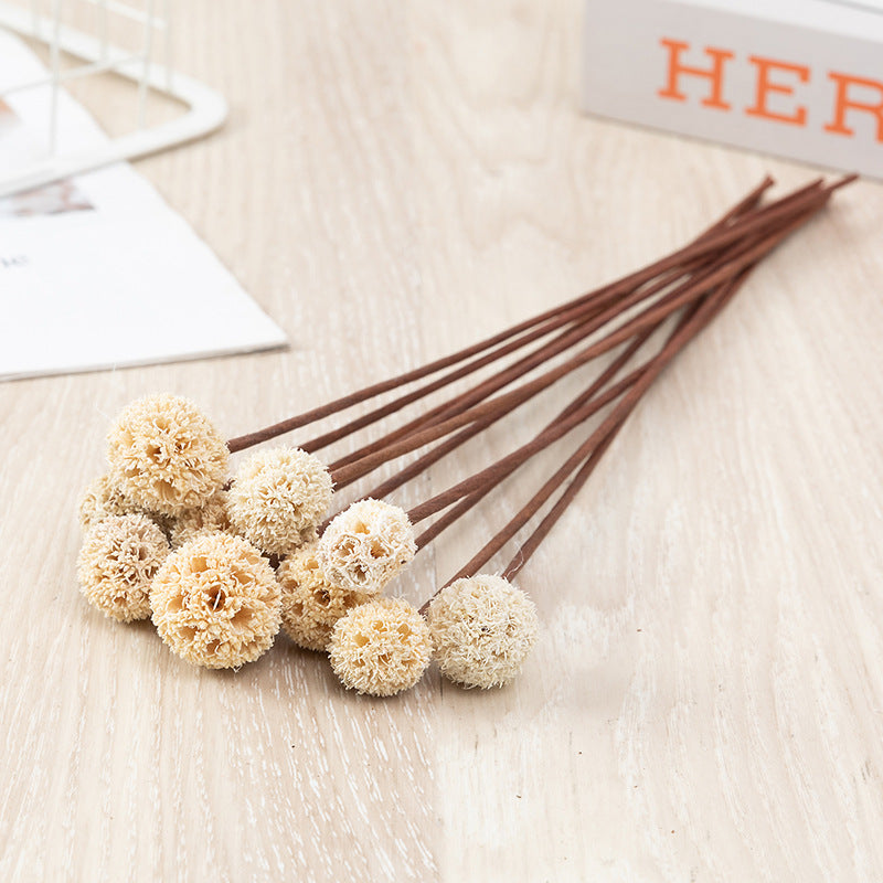 Bulk Preserved Pristimera Flower Balls Scabiosa Pods Windmill Fruit Flower Pods Wholesale