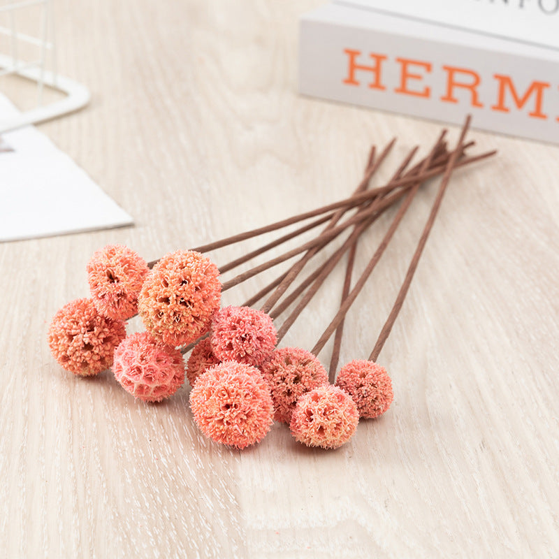 Bulk Preserved Pristimera Flower Balls Scabiosa Pods Windmill Fruit Flower Pods Wholesale