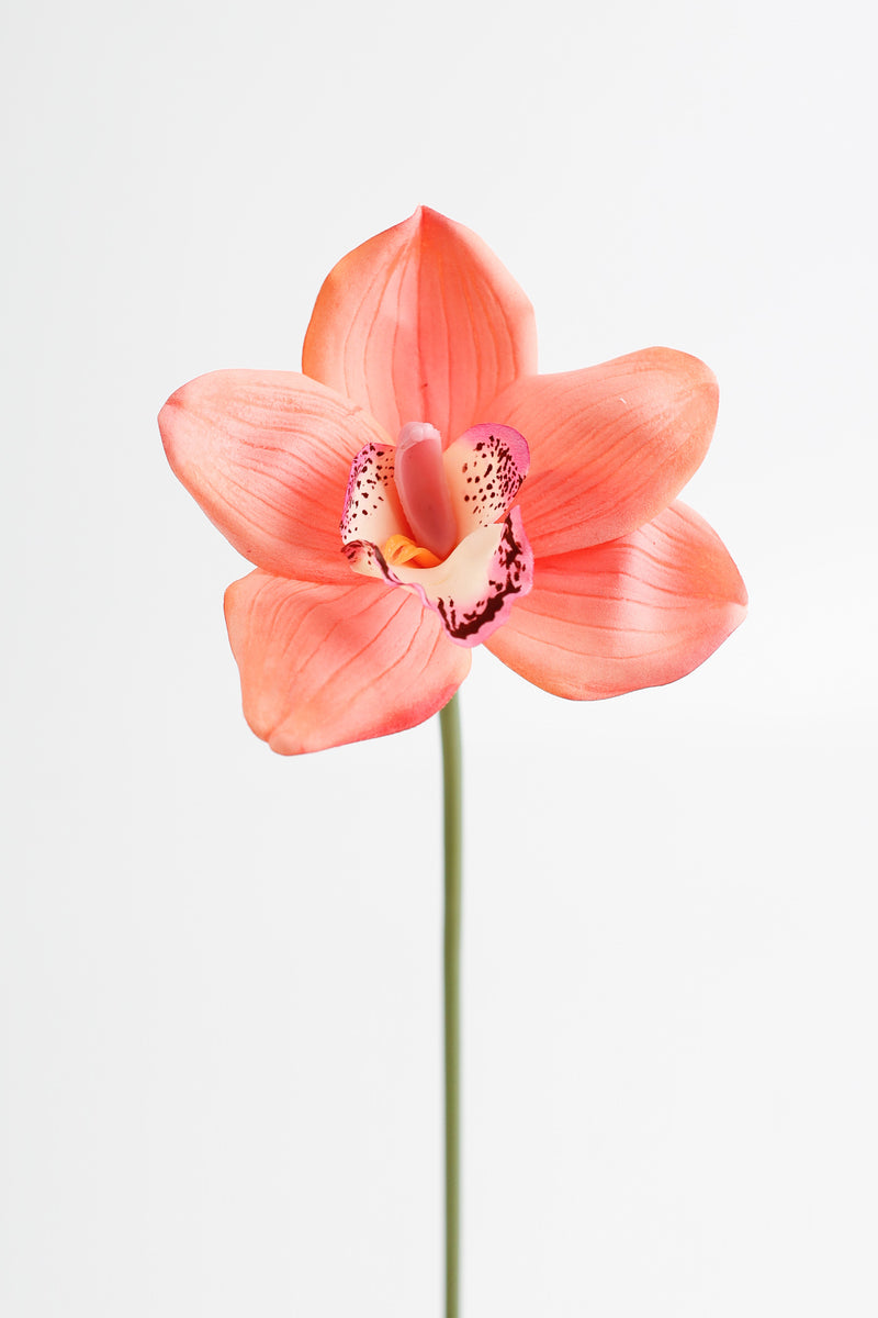 Bulk AM Basics 10" Cymbidium Stems Real Touch Flowers Artificial Wholesale