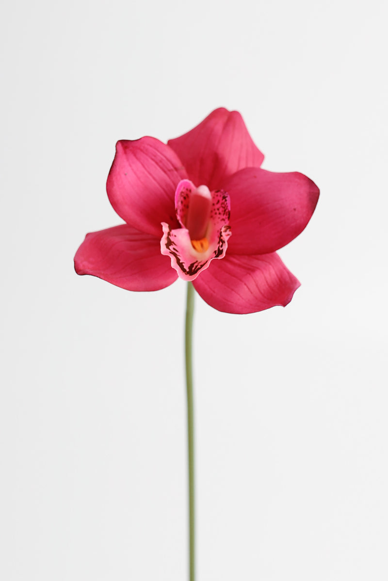 Bulk AM Basics 10" Cymbidium Stems Real Touch Flowers Artificial Wholesale