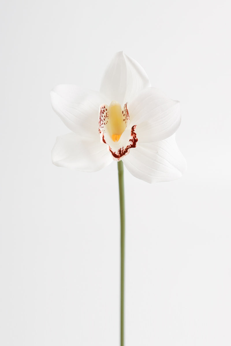 Bulk AM Basics 10" Cymbidium Stems Real Touch Flowers Artificial Wholesale