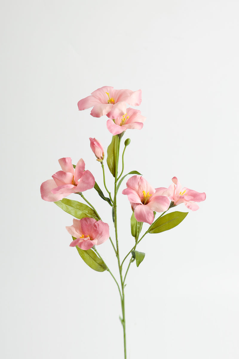 Tiges de gloire du matin de fleur de naissance de septembre en vrac AM Basics 31" en gros