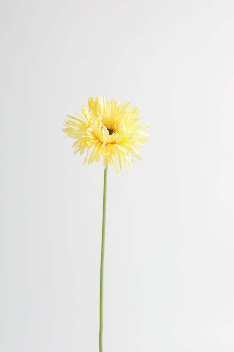 AM Basics Gerber Daisy Artificial Arrangement 17 Inch