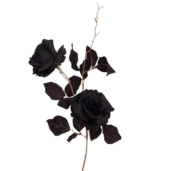 Flores largas en aerosol de rosa negra de 26 "a granel al por mayor