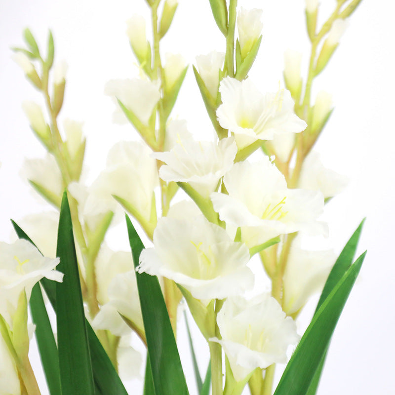 Exclusivo a granel Paquete extra grande de 5 piezas 43 "Gladiolo de tallos largos Flores de seda al por mayor