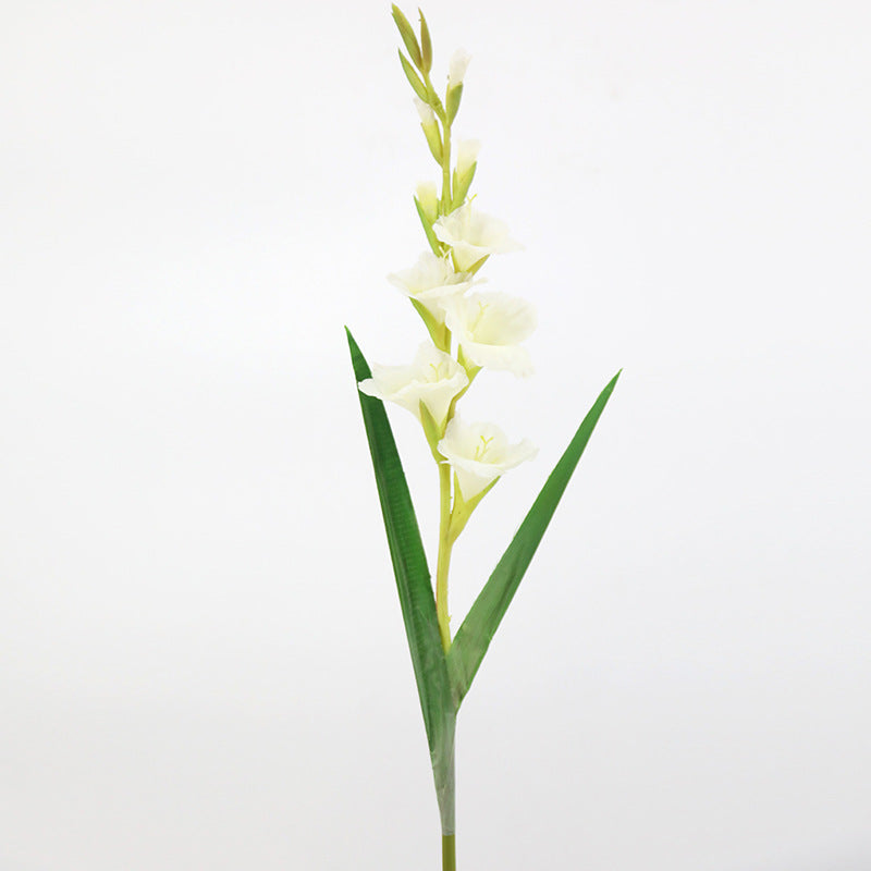 Exclusivo a granel Paquete extra grande de 5 piezas 43 "Gladiolo de tallos largos Flores de seda al por mayor