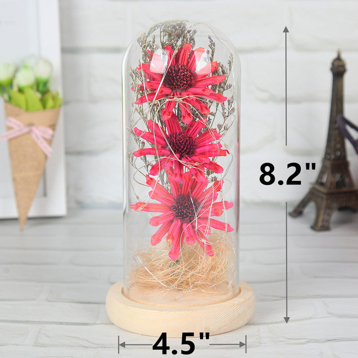 Bulk Preserved Mum Flower Gifts for Her Light UP Flower in Glass Dome Wholesale