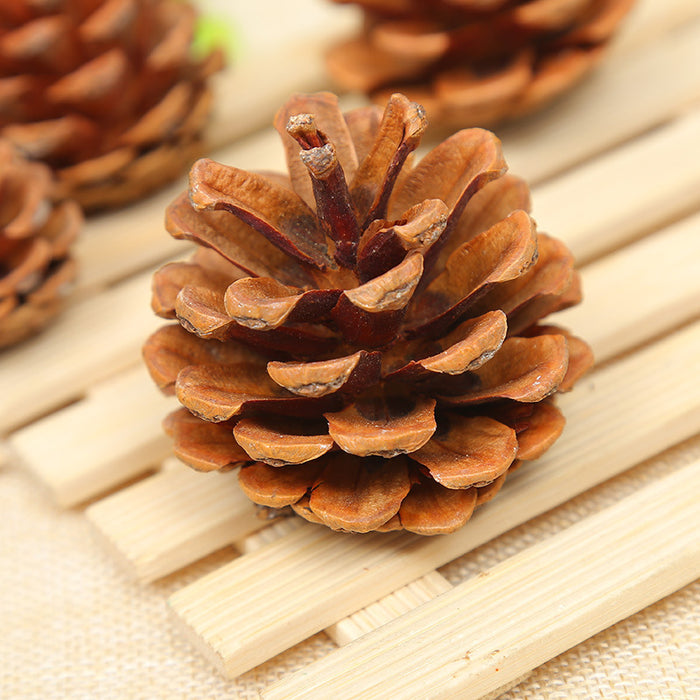 Bulk 2" 20 Pcs Christmas Pine Cones Decoration Vase Fillers for Thanksgiving DIY Crafts Wholesale