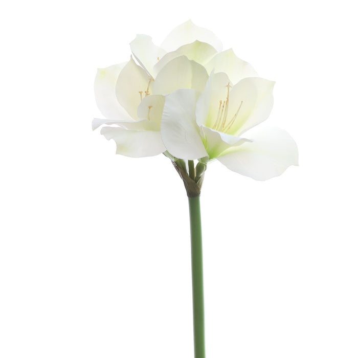 Bulk 24" Clivia Miniata Lily Tallos Real Touch Flores artificiales al por mayor