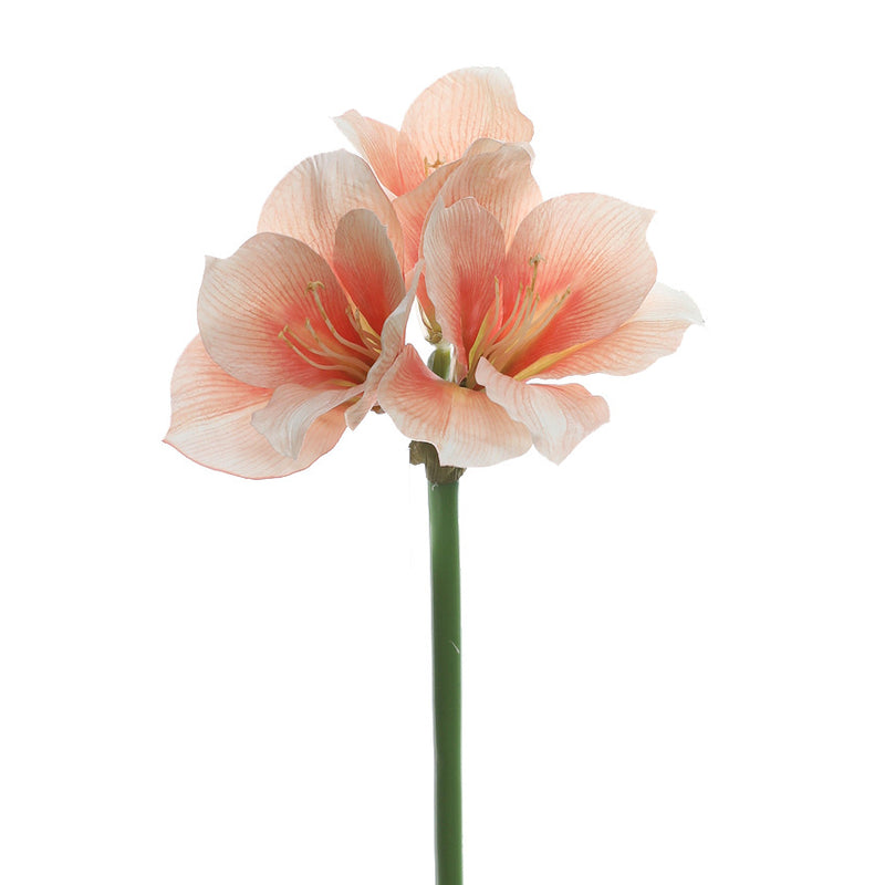 Bulk 24" Clivia Miniata Lily Stems Real Touch Artificial Flowers Wholesale