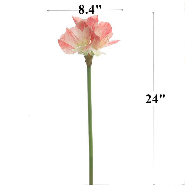 Bulk 24" Clivia Miniata Lily Tallos Real Touch Flores artificiales al por mayor